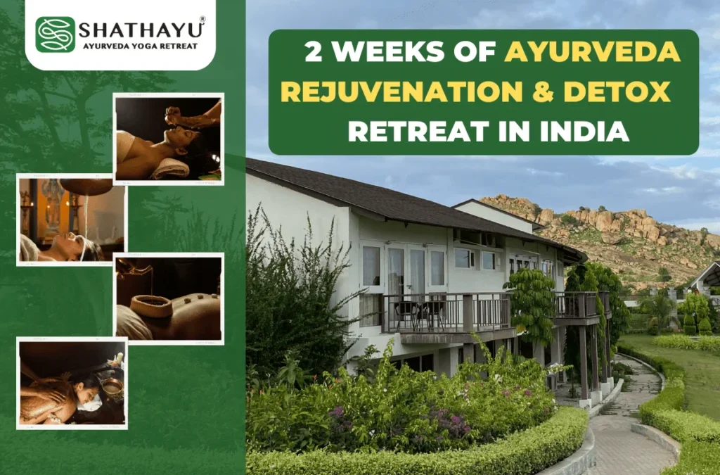 What to expect on Two weeks of Ayurveda rejuvenation and detox retreat in India